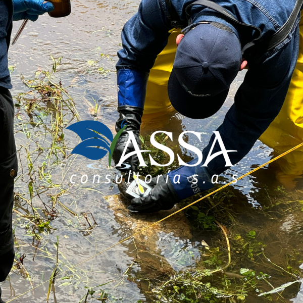 hidrobiologia-assa-consultoria