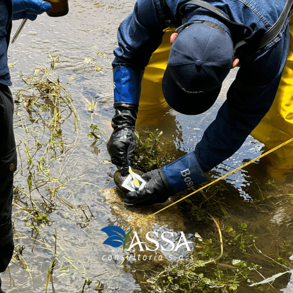 hidrobiologia-assa-consultoria